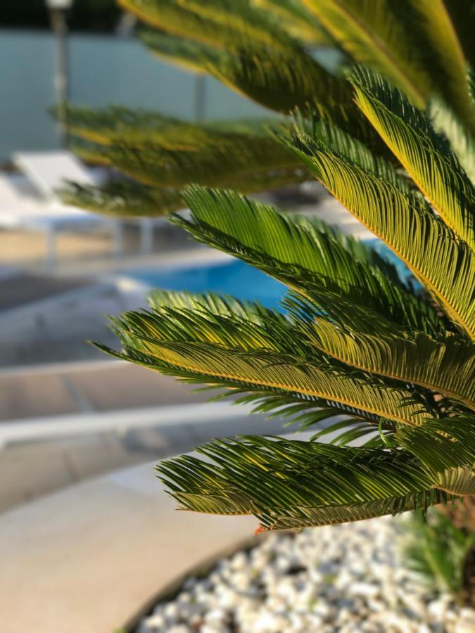 Path House - Etna & Sea View Aparthotel Riposto ภายนอก รูปภาพ