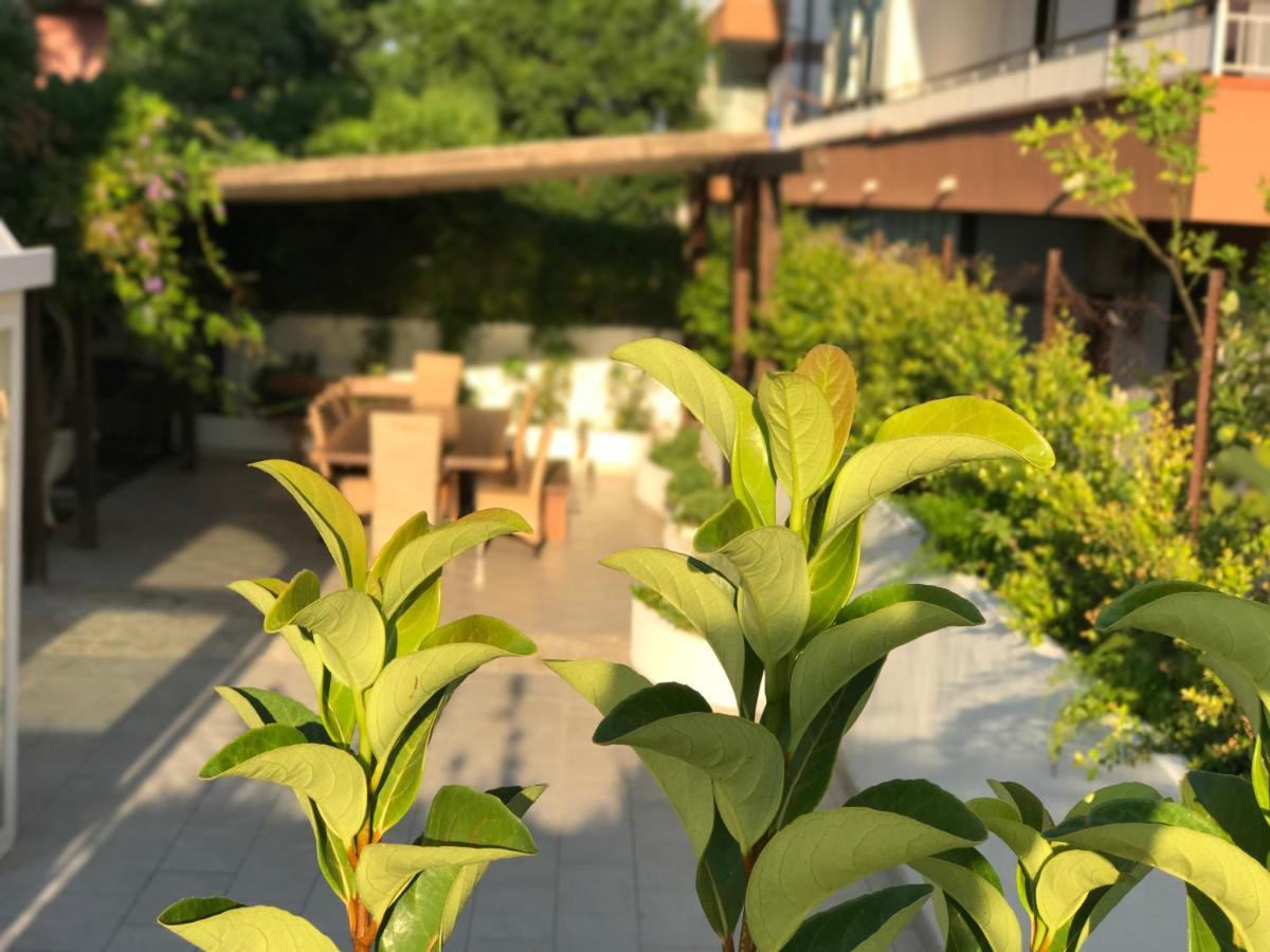 Path House - Etna & Sea View Aparthotel Riposto ภายนอก รูปภาพ