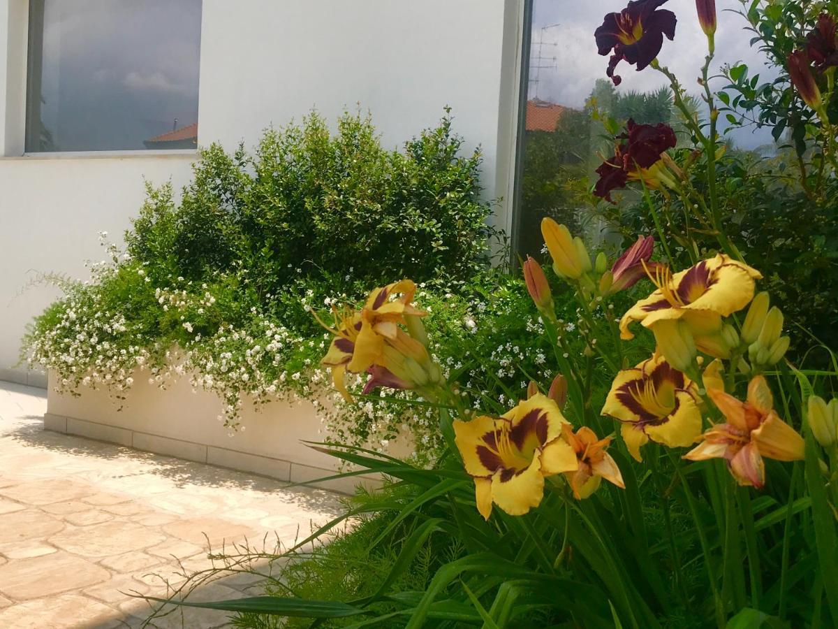 Path House - Etna & Sea View Aparthotel Riposto ภายนอก รูปภาพ